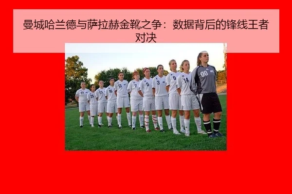 man-cheng-ha-lan-de-yu-sa-la-he-jin-xue-zhi-zheng-shu-ju-bei-hou-de-feng-xian-wang-zhe-dui-jue-2-624.jpg