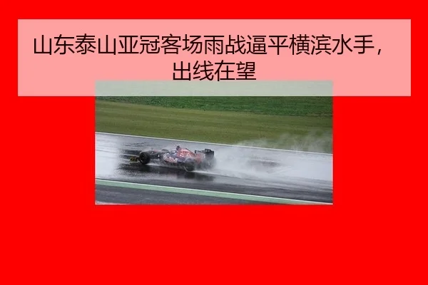 shan-dong-tai-shan-ya-guan-ke-chang-yu-zhan-bi-ping-heng-bin-shui-shou-chu-xian-zai-wang-2-302.jpg