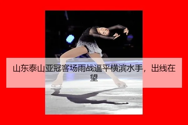 shan-dong-tai-shan-ya-guan-ke-chang-yu-zhan-bi-ping-heng-bin-shui-shou-chu-xian-zai-wang-3-483.jpg